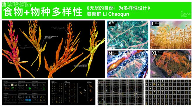 边研究食物边回应气候变化的大学专业AG真人九游会登录网址在中国一个(图10)